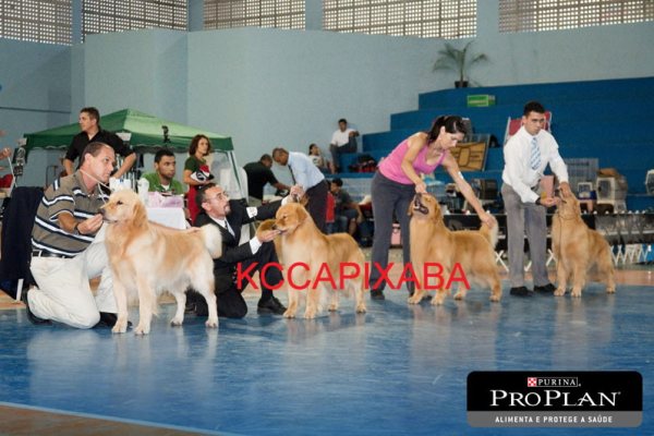 Clique sobre a foto para fechar